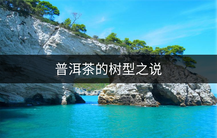 普洱茶的樹型之說 普洱茶的樹型之說
