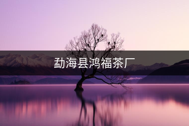 勐?？h鴻福茶廠