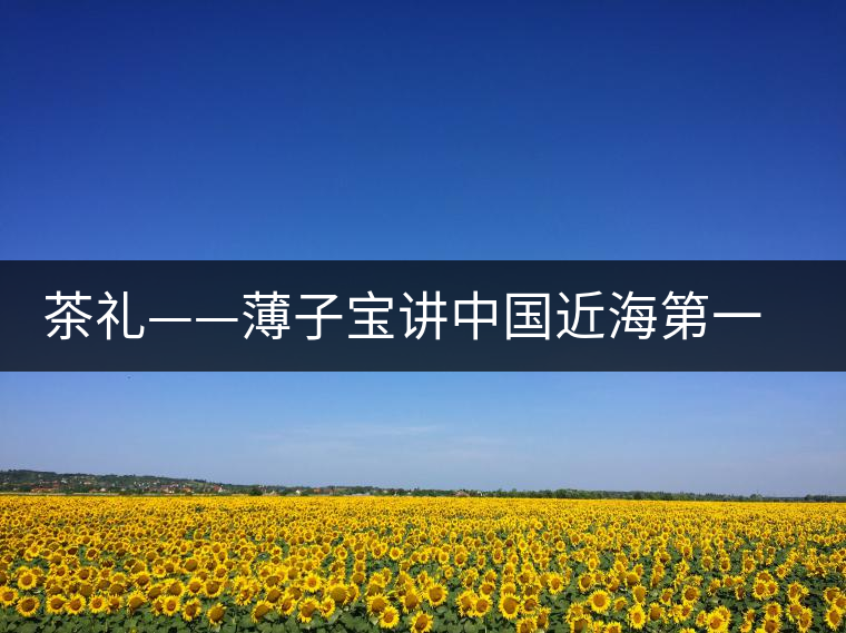 茶禮——薄子寶講中國(guó)近海第一茶茶經(jīng)
