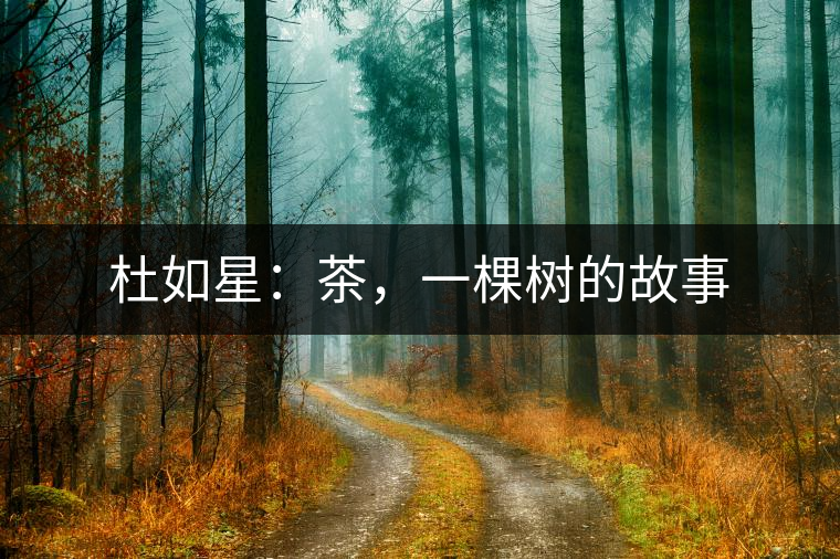 杜如星：茶，一棵樹的故事
