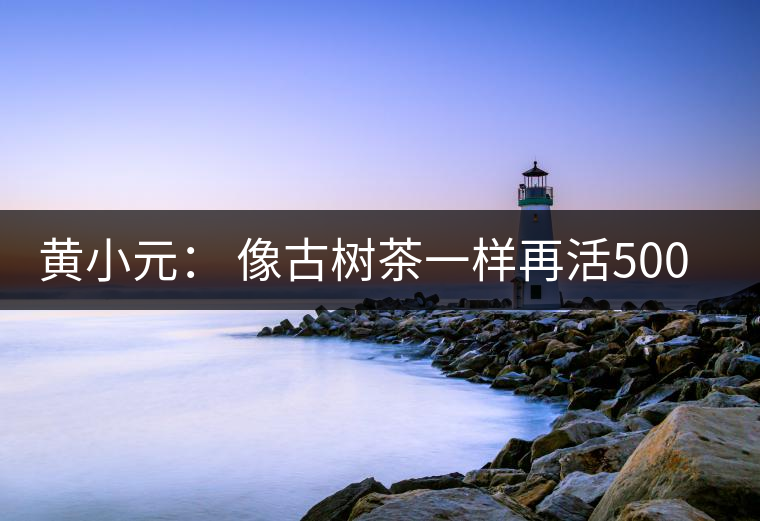 黃小元: 像古樹茶一樣再活500年 黃小元: 像古樹茶一樣再活500年
