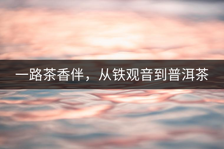 一路茶香伴，從鐵觀音到普洱茶