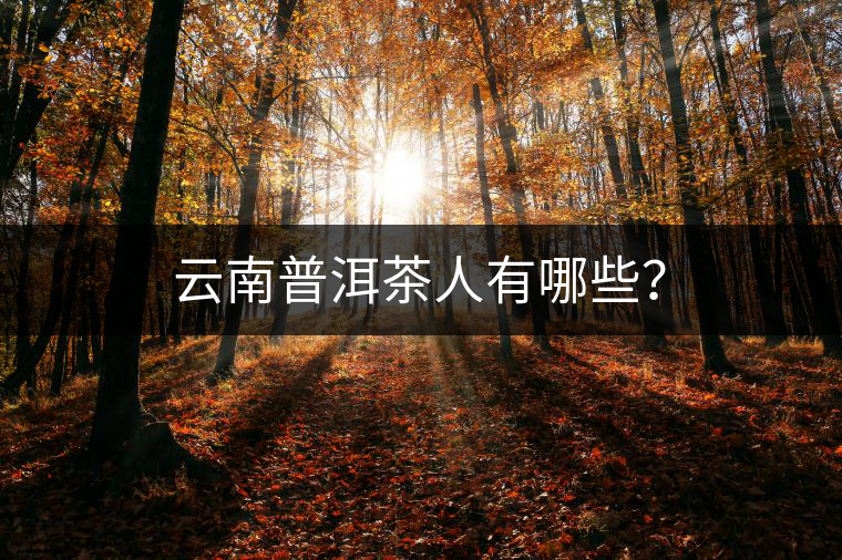 云南普洱茶人有哪些？