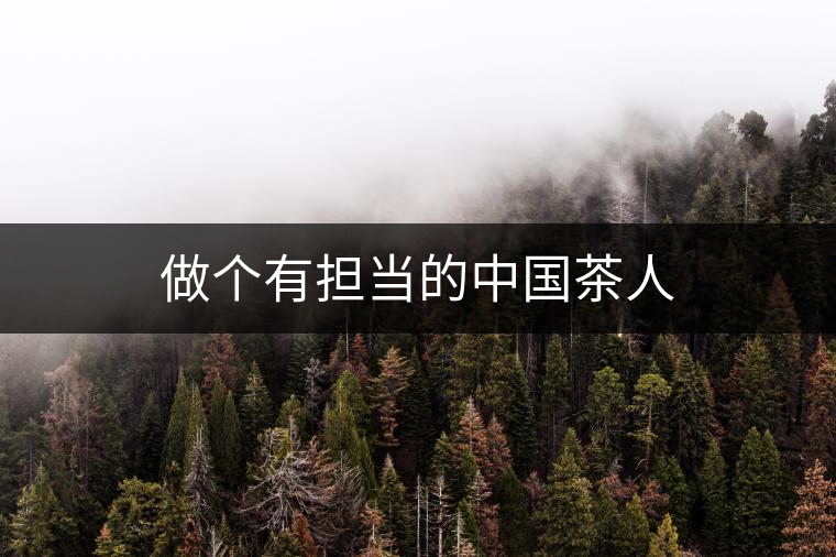 做個(gè)有擔(dān)當(dāng)?shù)闹袊枞? alt=