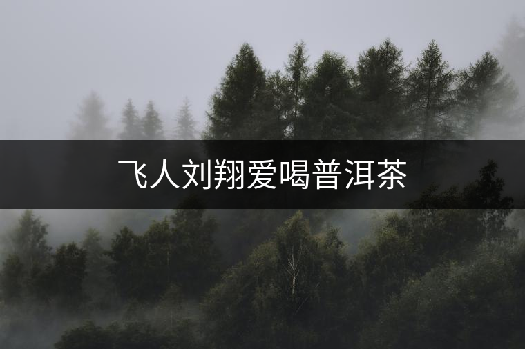 飛人劉翔愛喝普洱茶