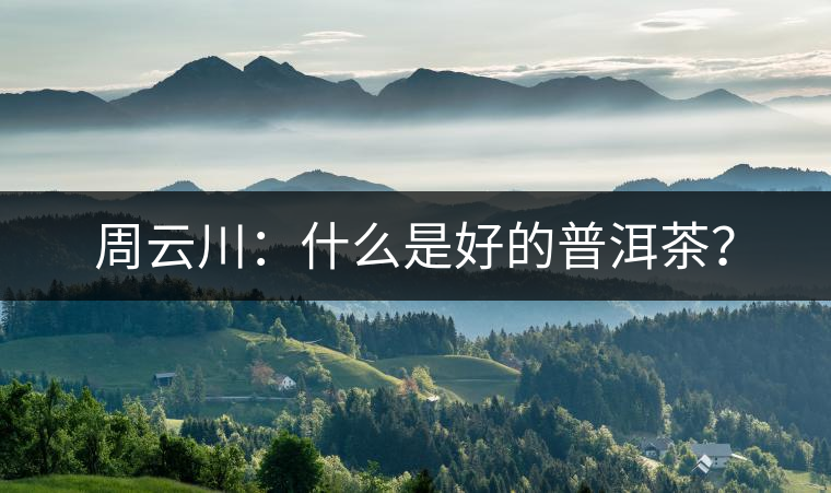 周云川：什么是好的普洱茶？