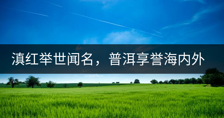 滇紅舉世聞名，普洱享譽(yù)海內(nèi)外丨專家座談——虞富蓮