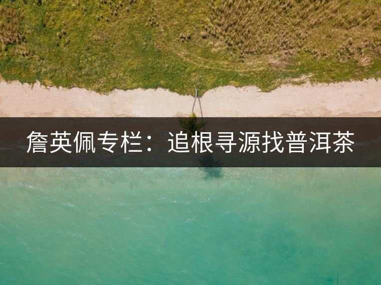 詹英佩專欄:追根尋源找普洱茶 詹英佩專欄:追根尋源找普洱茶