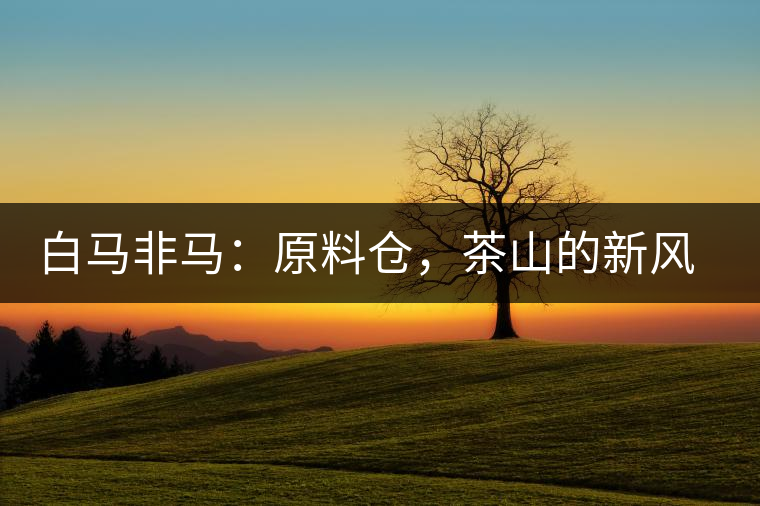 白馬非馬：原料倉，茶山的新風(fēng)景