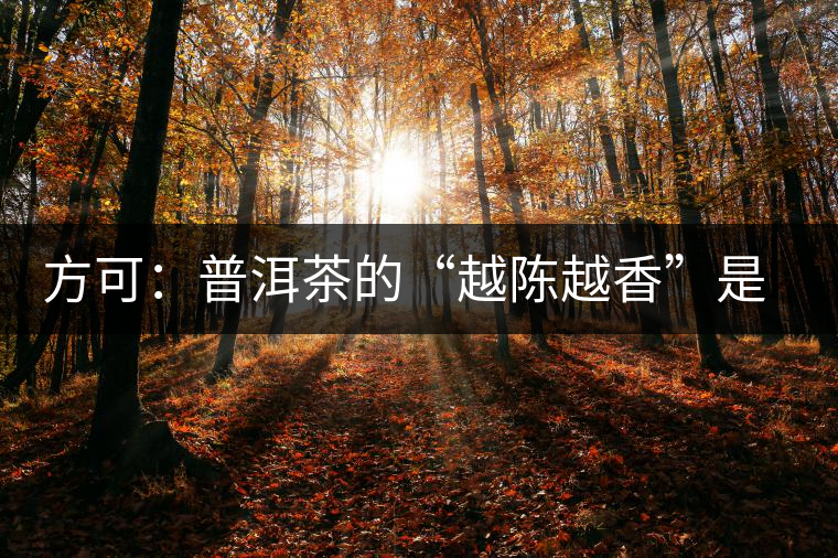 方可：普洱茶的“越陳越香”是有條件、有技術(shù)的