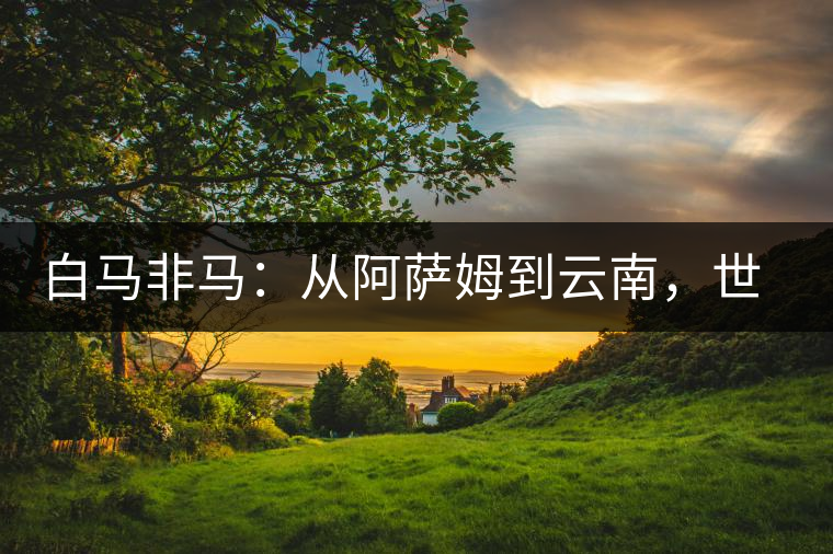 白馬非馬：從阿薩姆到云南，世界茶樹(shù)起源爭(zhēng)論的誤區(qū)