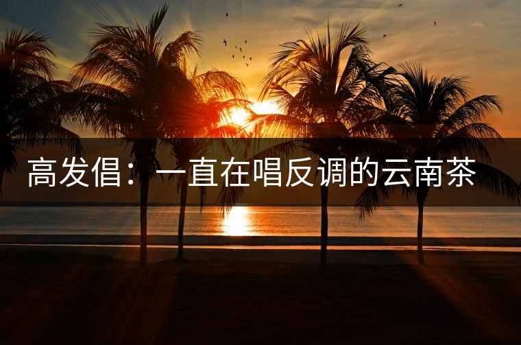高發(fā)倡：一直在唱反調(diào)的云南茶人