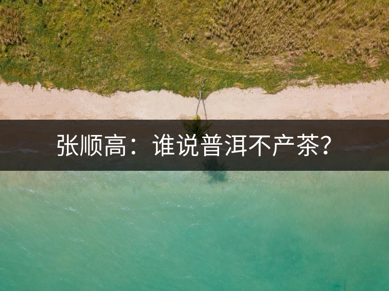 張順高：誰說普洱不產(chǎn)茶？