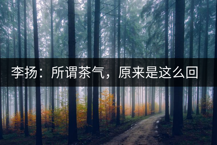 李揚：所謂茶氣，原來是這么回事
