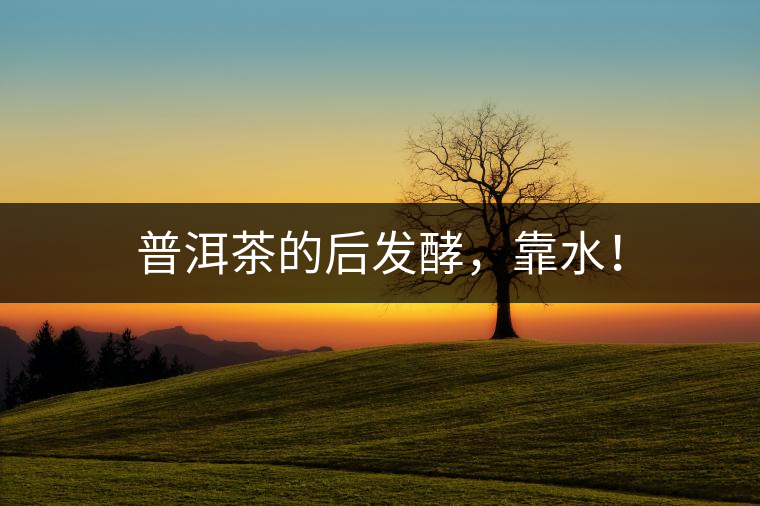 普洱茶的后發(fā)酵，靠水！