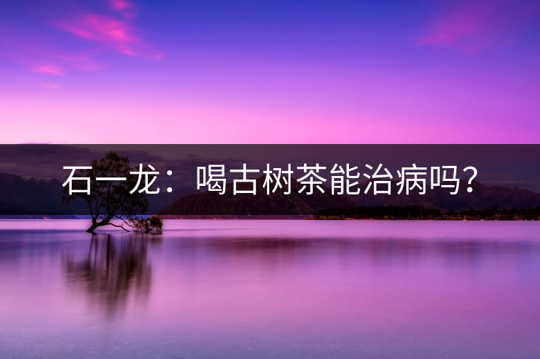 石一龍：喝古樹茶能治病嗎？