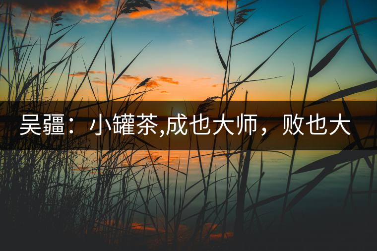 吳疆：小罐茶,成也大師，敗也大師