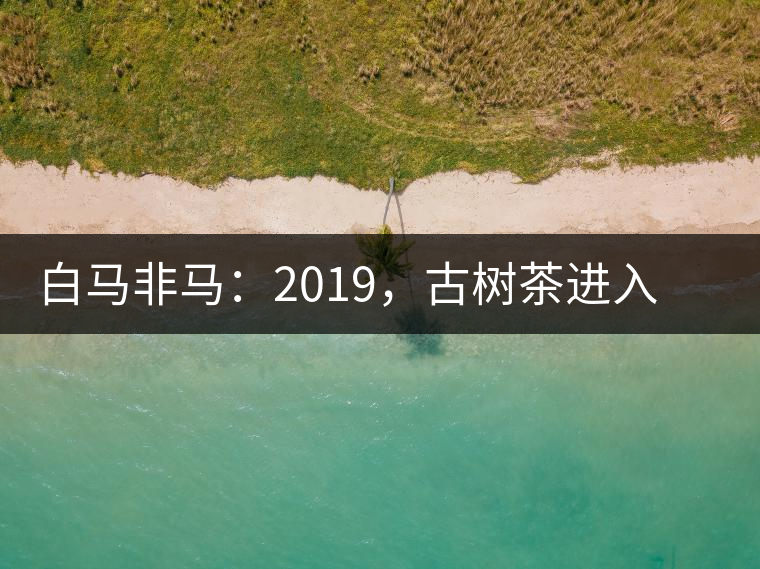 白馬非馬：2019，古樹茶進(jìn)入醇料時(shí)代