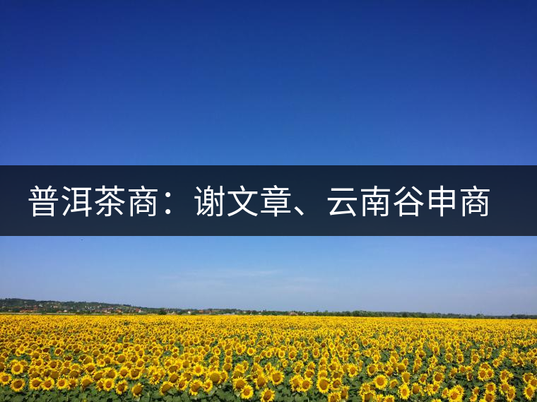 普洱茶商：謝文章、云南谷申商貿(mào)有限公司總經(jīng)理