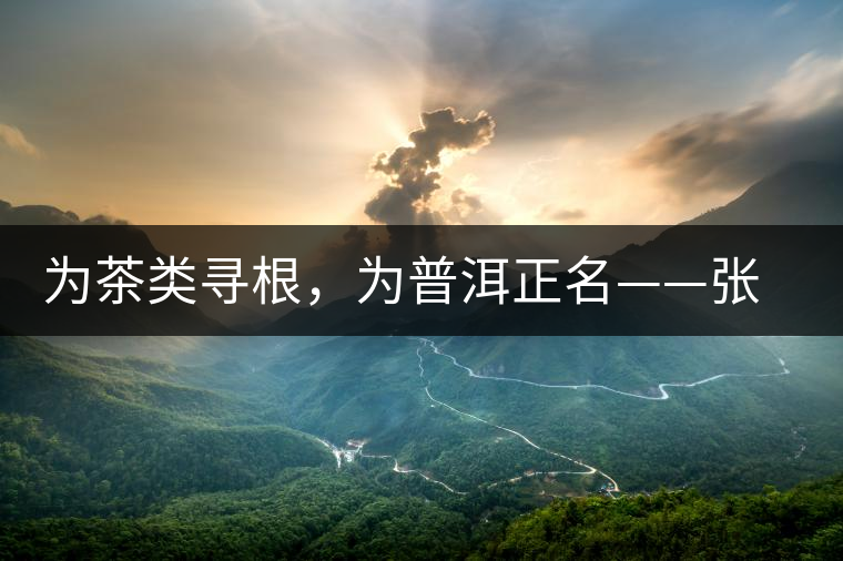 為茶類尋根，為普洱正名——張宏達的普洱茶研究
