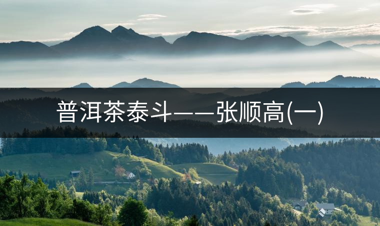 普洱茶泰斗——張順高(一)