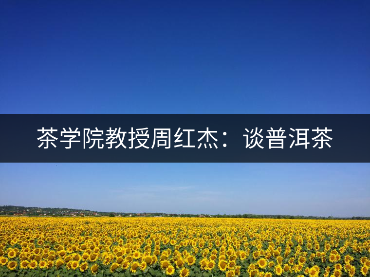 茶學院教授周紅杰:談普洱茶 茶學院教授周紅杰:談普洱茶