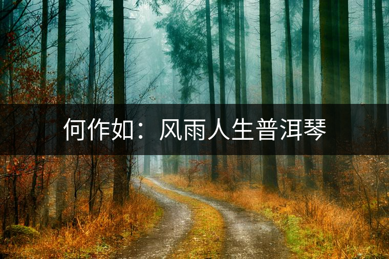 何作如:風(fēng)雨人生普洱琴 何作如:風(fēng)雨人生普洱琴