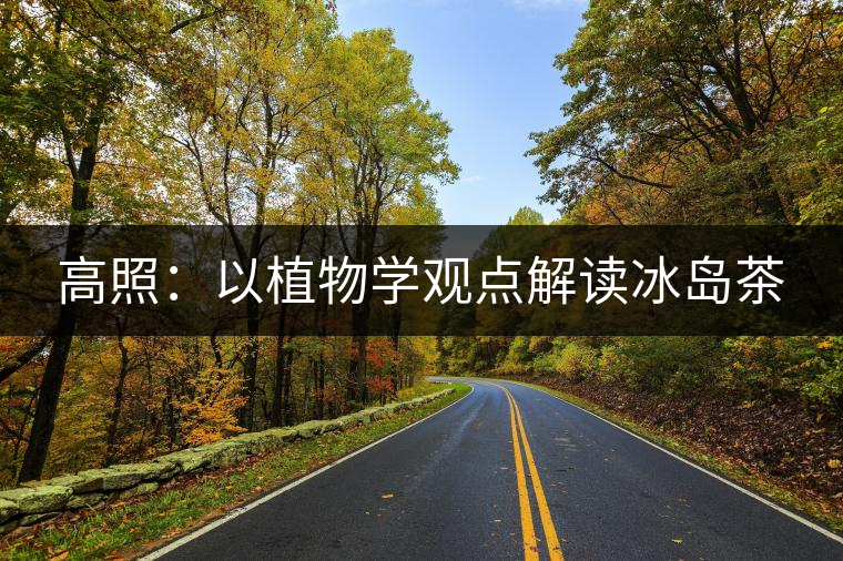 高照：以植物學(xué)觀點解讀冰島茶