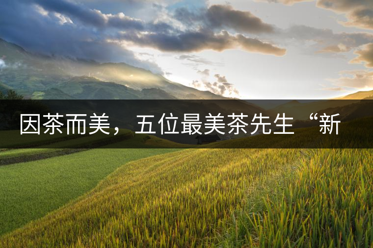 因茶而美，五位最美茶先生“新鮮出爐”啦