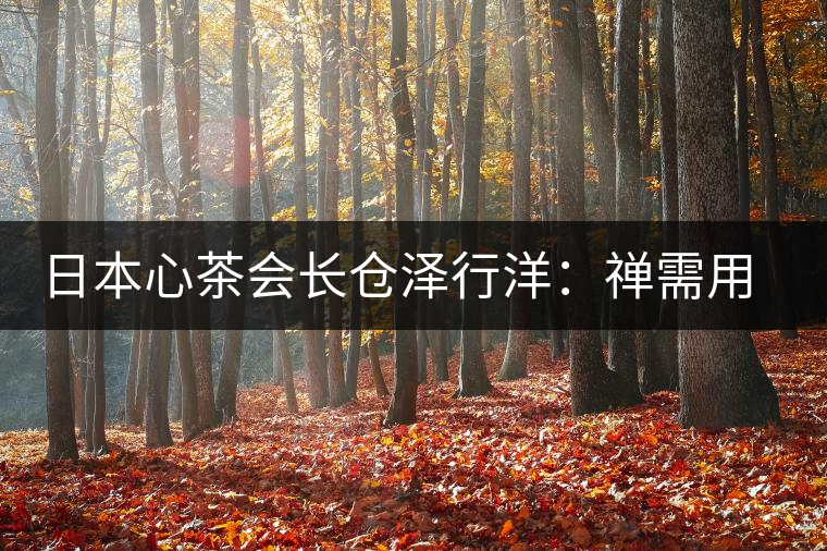 日本心茶會(huì)長(zhǎng)倉澤行洋：禪需用茶去“抵達(dá)”
