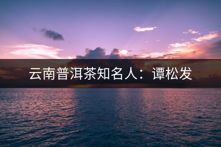 云南普洱茶知名人：譚松發(fā)