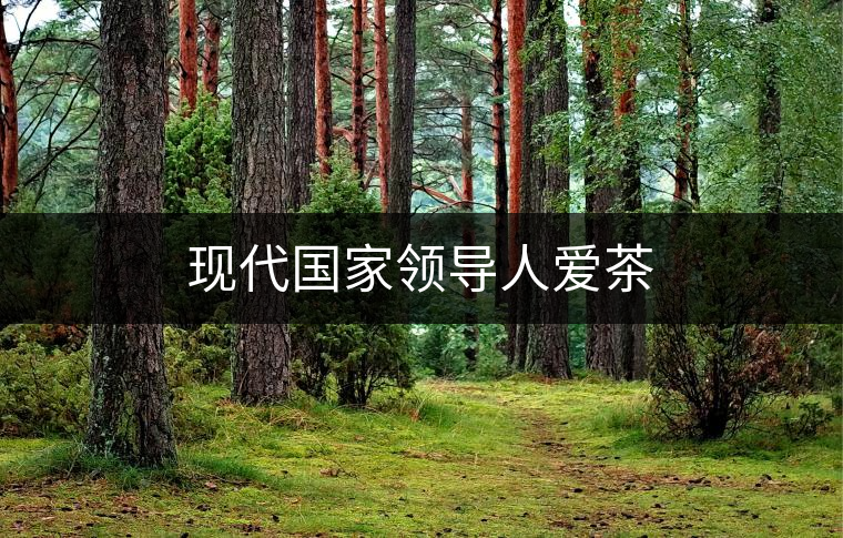 現(xiàn)代國家領(lǐng)導人愛茶