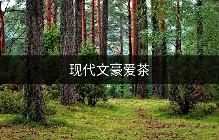 現代文豪愛茶 現代文豪愛茶
