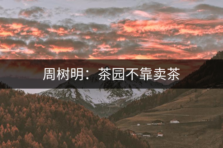 周樹(shù)明：茶園不靠賣茶