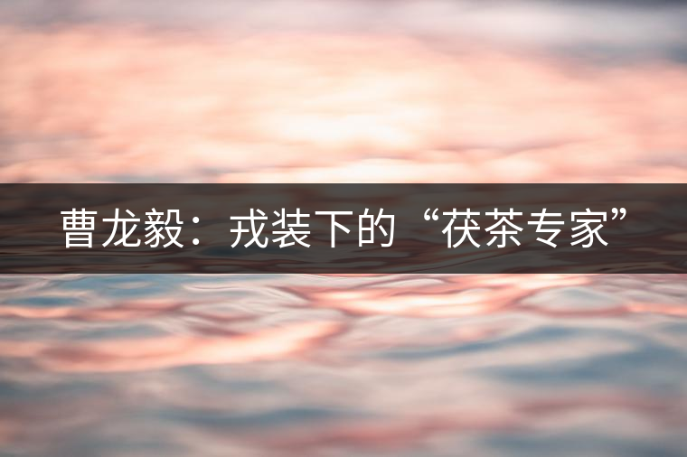 曹龍毅：戎裝下的“茯茶專家”