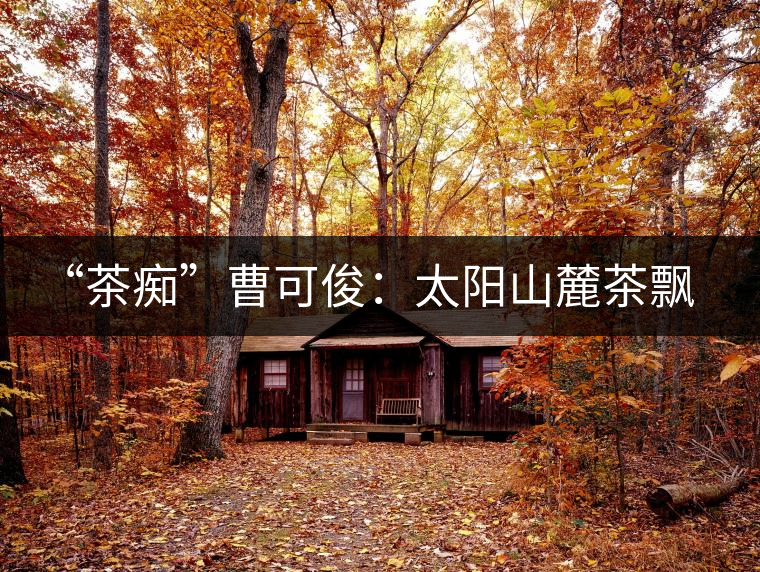 “茶癡”曹可?。禾柹铰床栾h香，清明時節(jié)采茶忙