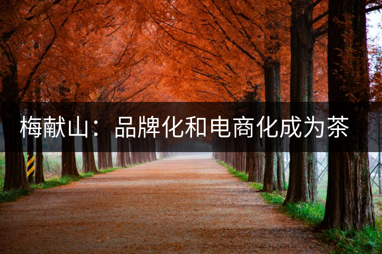 梅獻(xiàn)山:品牌化和電商化成為茶產(chǎn)業(yè)的第三個轉(zhuǎn)機(jī) 梅獻(xiàn)山:品牌化和電商化成為茶產(chǎn)業(yè)的第三個轉(zhuǎn)機(jī)