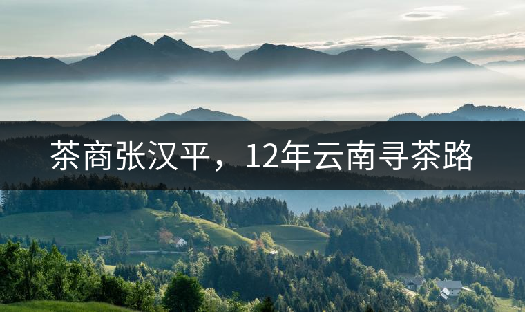 茶商張漢平，12年云南尋茶路