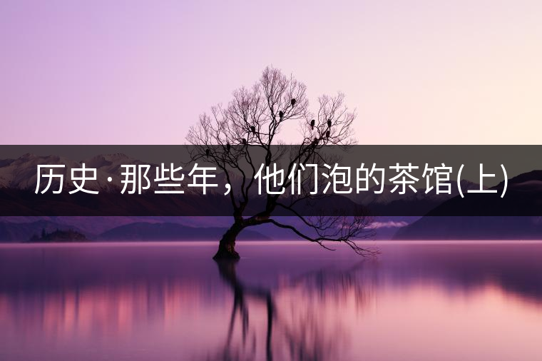 歷史·那些年，他們泡的茶館(上)