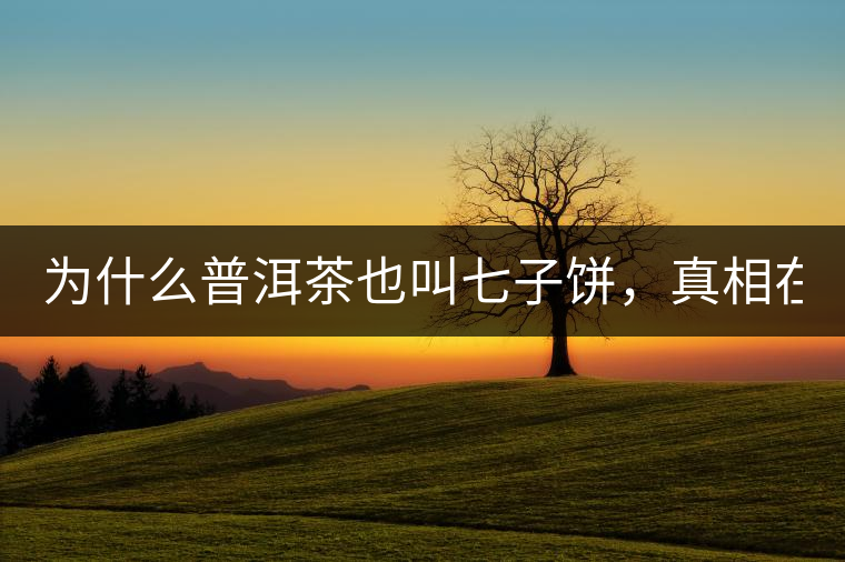 為什么普洱茶也叫七子餅，真相在這里！