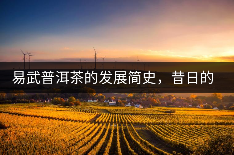 易武普洱茶的發(fā)展簡(jiǎn)史，昔日的貢茶如今依然輝煌