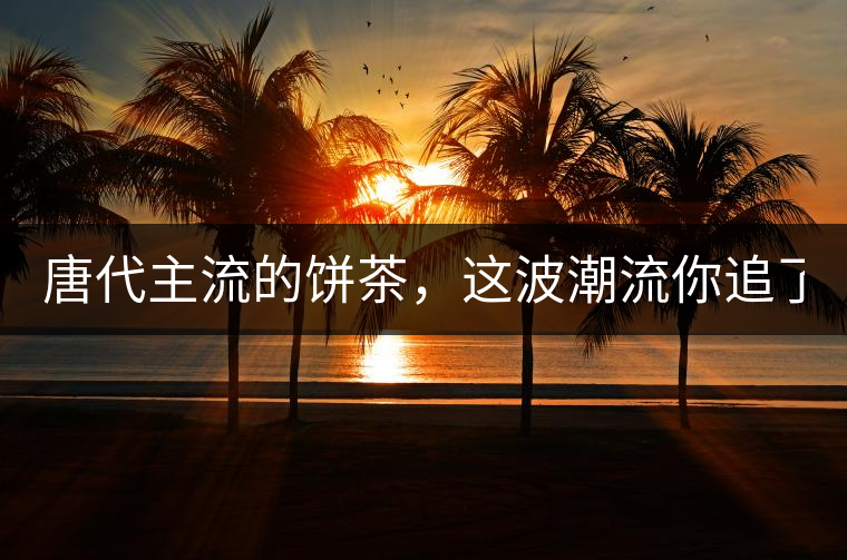 唐代主流的餅茶，這波潮流你追了嗎？