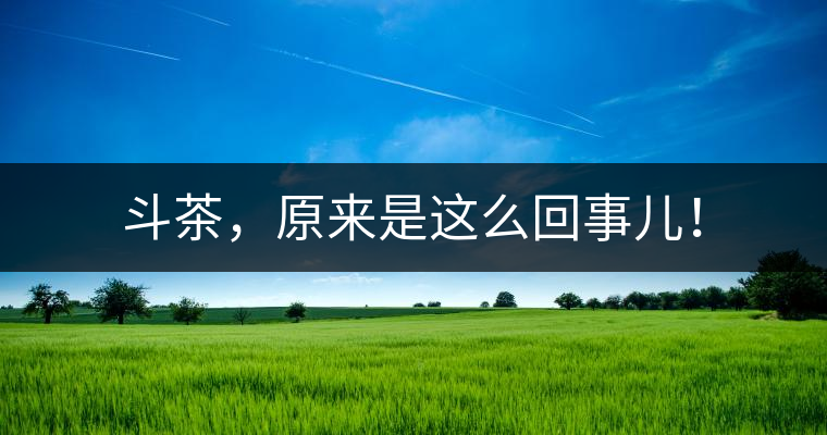 斗茶，原來(lái)是這么回事兒！