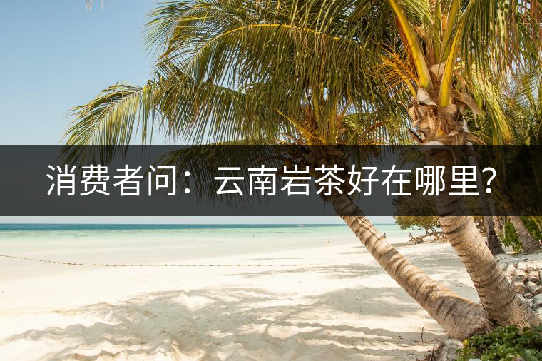 消費(fèi)者問：云南巖茶好在哪里？