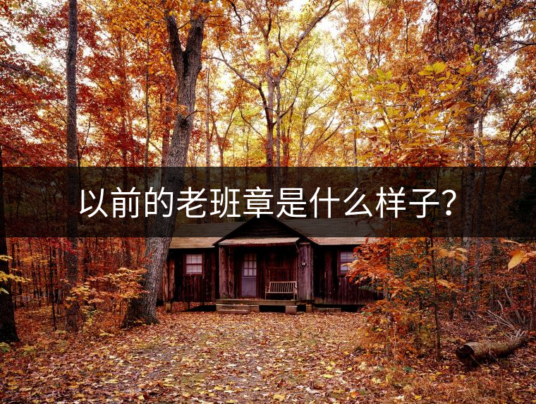 以前的老班章是什么樣子？