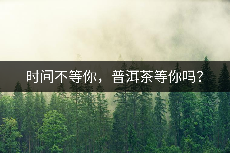 時間不等你，普洱茶等你嗎？