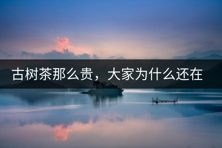 古樹茶那么貴，大家為什么還在瘋狂追求？