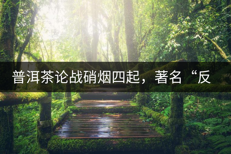 普洱茶論戰(zhàn)硝煙四起，著名“反偽斗士”司馬南有話說(shuō)