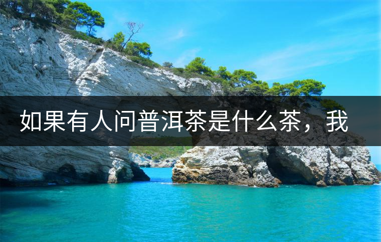 如果有人問(wèn)普洱茶是什么茶，我就請(qǐng)他看這個(gè)段子