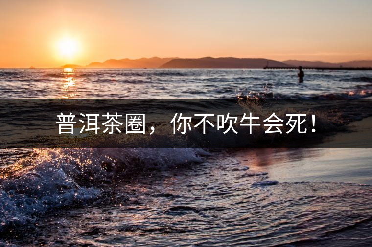 普洱茶圈，你不吹牛會(huì)死！